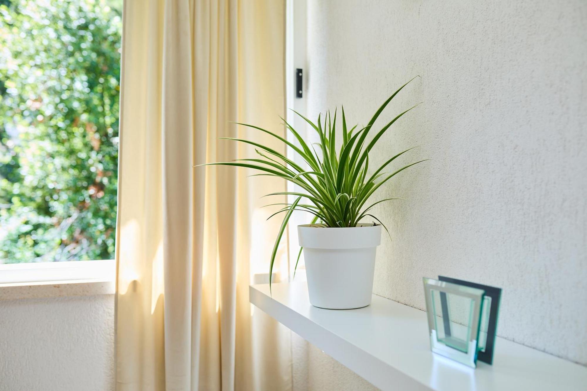 Apartment Promenada- 4Pax With Parking Dubrovnik Eksteriør bilde